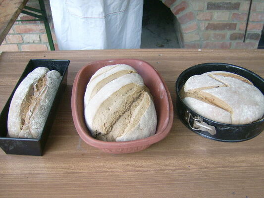 Brot aus dem Holzbackofen, Foto: Backofengruppe, Lizenz: Die Mühle e. V.