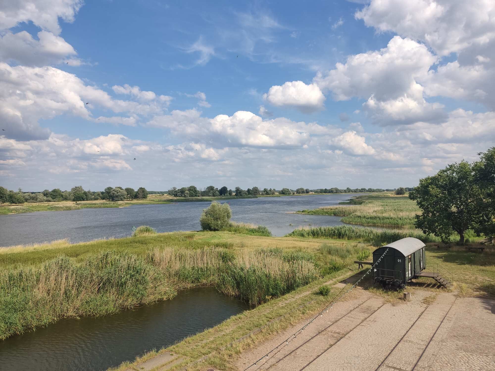 Die Oder in groß Neuendorf