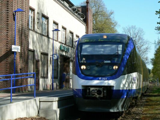 4. Salonabend – Steinpilz, Krause Glucke und Co.