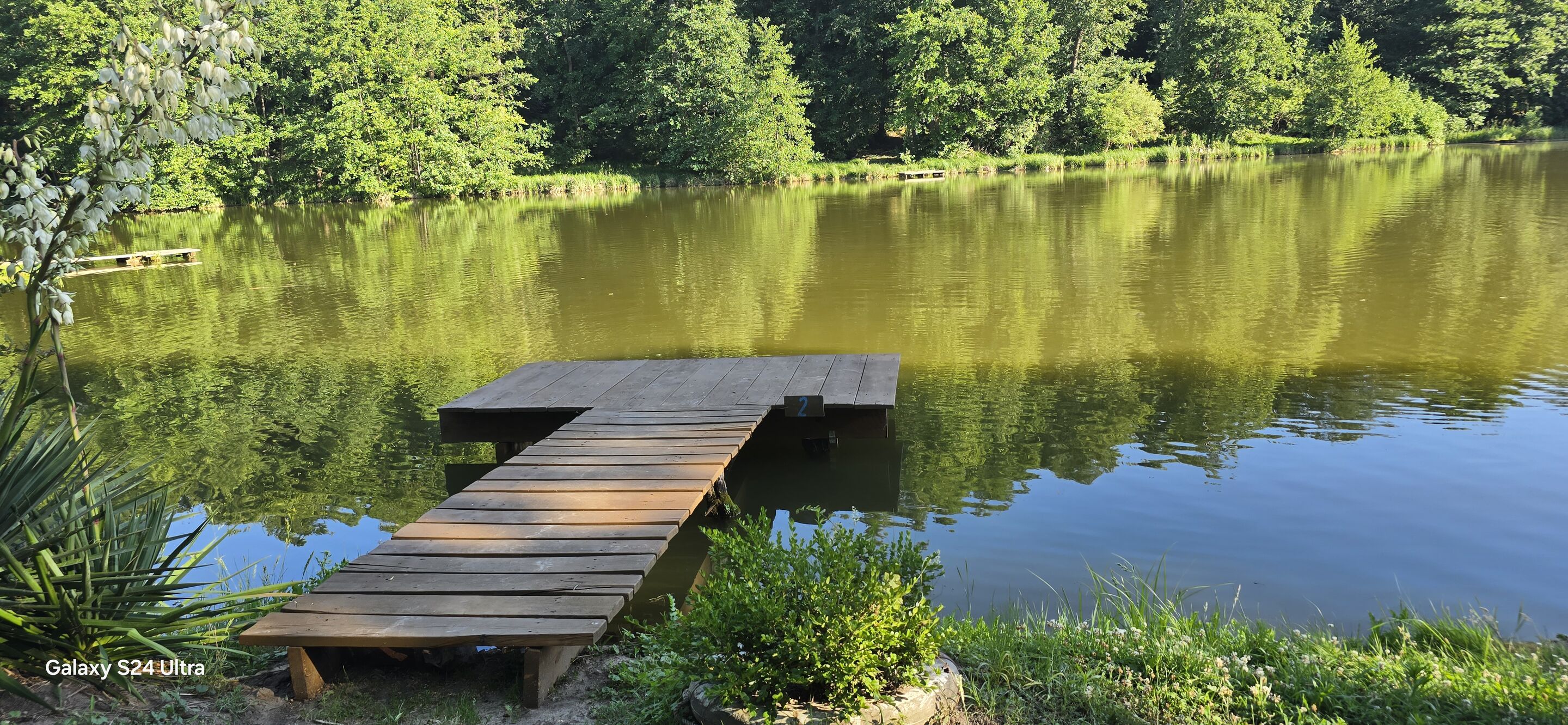Fischteich 1