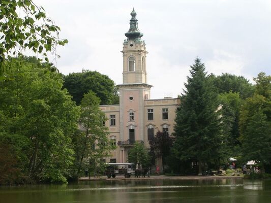 4. Salonabend – Steinpilz, Krause Glucke und Co.