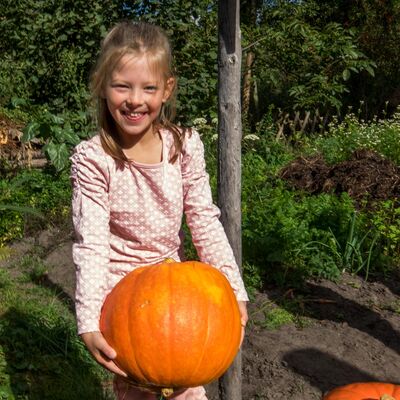 Herbstferien im Museum, Foto: Peter Becker, Lizenz: Museum OSL