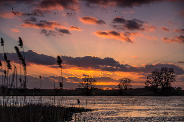 Sonnenuntergang an der Elbe, Foto: Oliver Ulmer, Lizenz: Naturschutzfonds Brandenburg