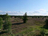 Naturschutzgebiet Kleine Schorfheide, Foto: Ronny Sommerfeld, Lizenz: Naturpark Uckermärkische Seen
