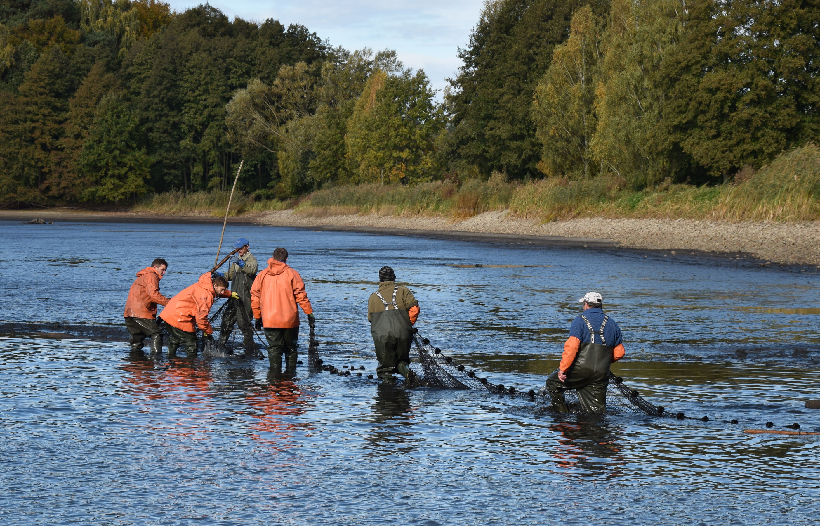 Großer Fischzug, Foto: NABU, Lizenz: NABU
