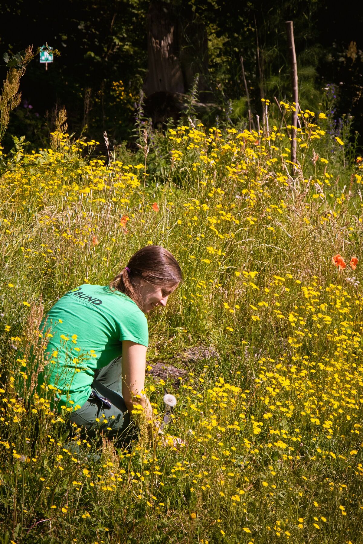 Sommerpflege im Burgpark, Foto: prignitzlliebe - Anja Möller, Lizenz: Burg Lenzen