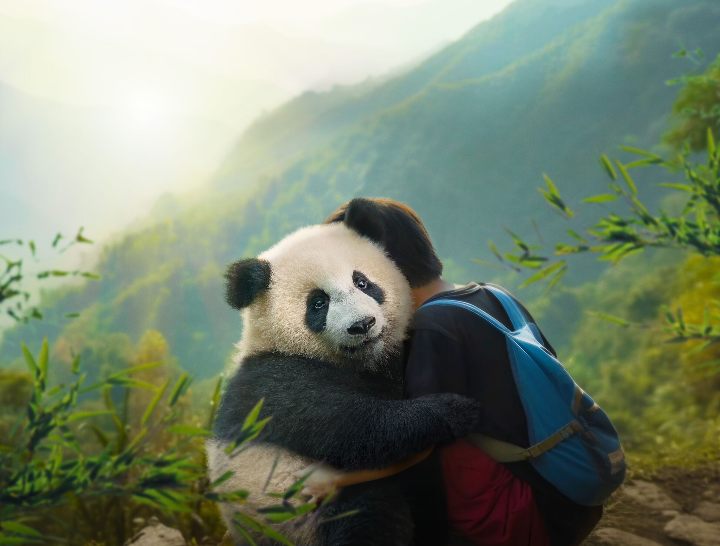 Moon-Der Panda, Foto: CaraCao, Lizenz: © MAIJUINPRODUCTIONS_GAUMONT_FRANCE2CINEMA
