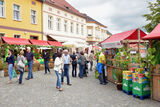 Stadtfest, Foto: Andreas Traube, Lizenz: Andreas Traube