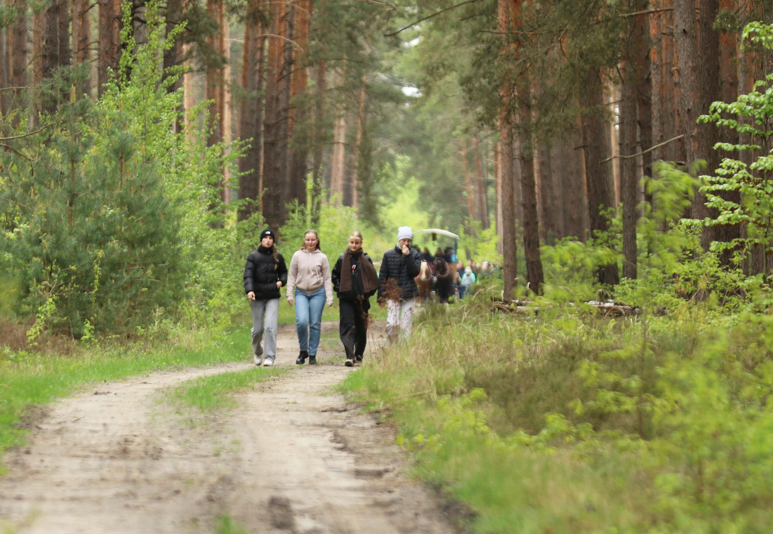 Wandern, Foto: Cordula Schladitz, Lizenz: Cordula Schladitz