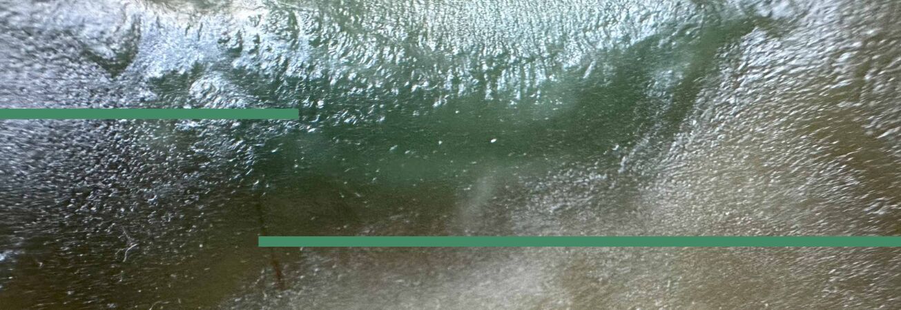 Purple-Lounge, Foto: Dr. Alexander Busche