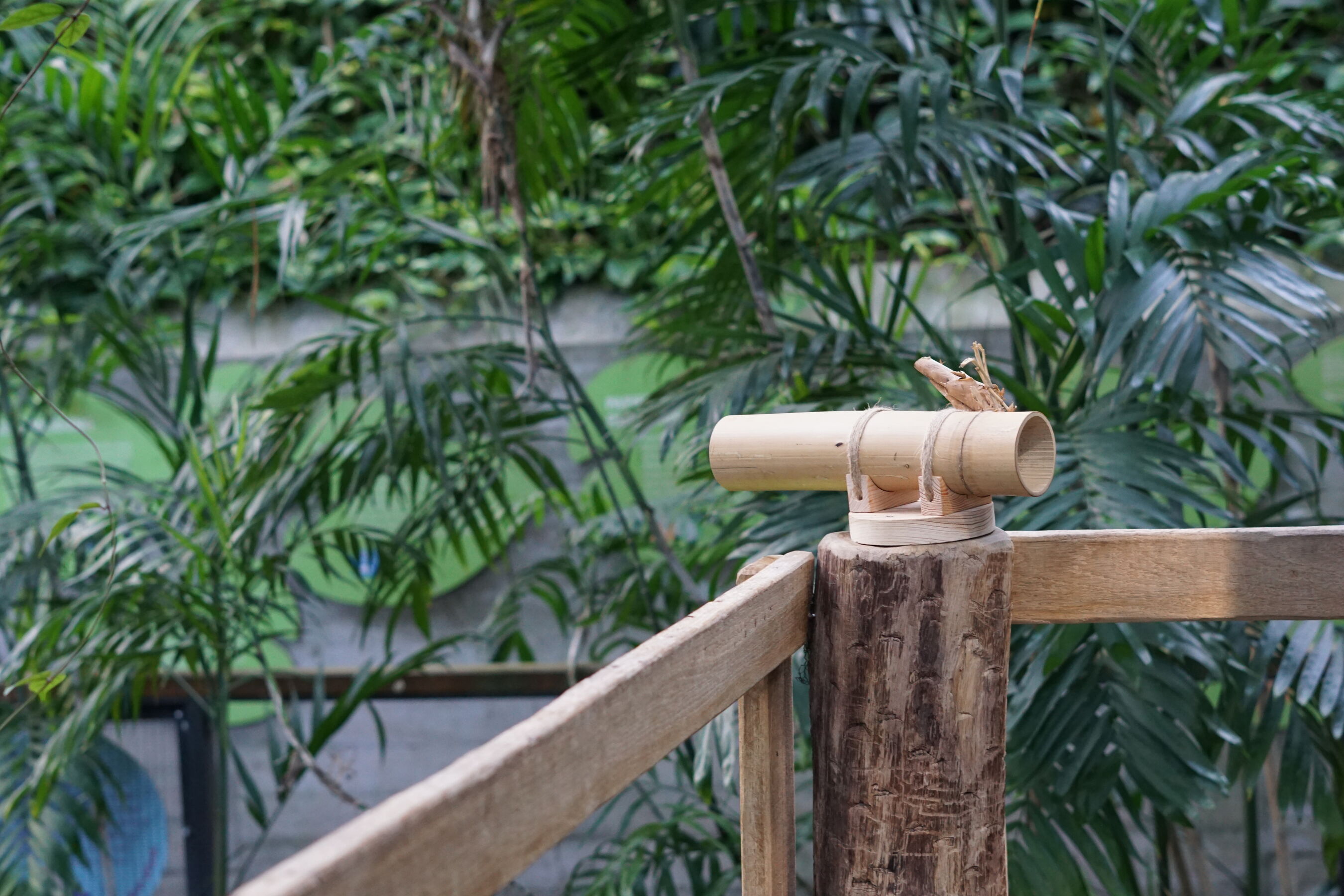 Voll durchschaut!, Foto: Anja Sadowski, Lizenz: Biosphäre Potsdam