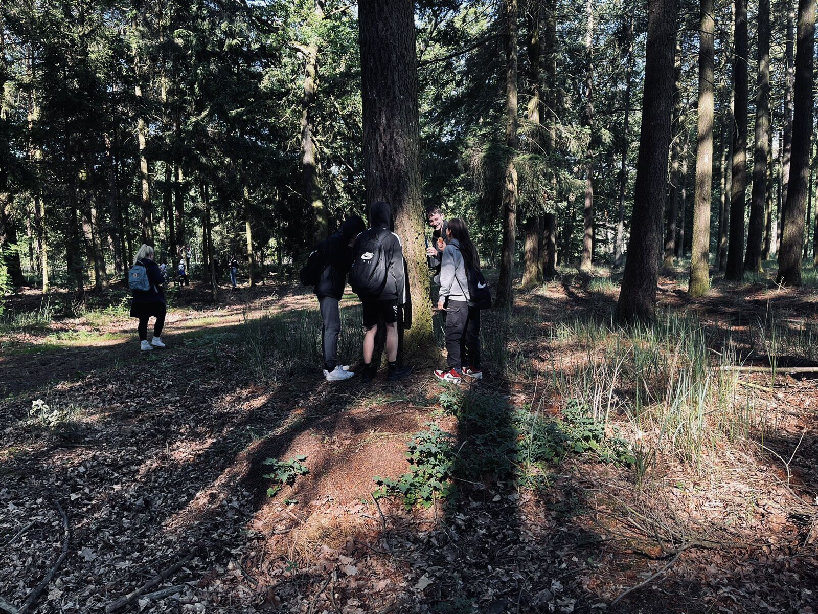 Görlsdorfer Wald, Foto: Jenifer Howel