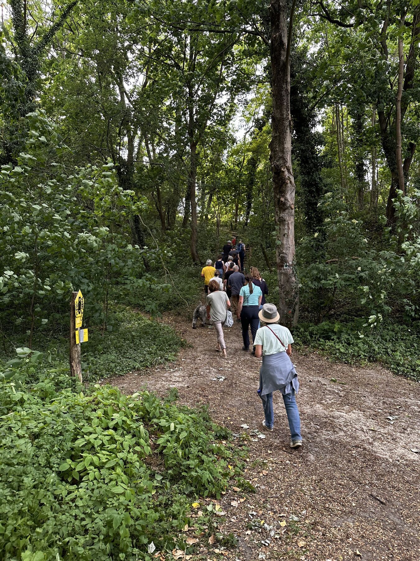 Vogelwanderung, Foto: Gilde der Stadtführer e.V., Lizenz: Gilde der Stadtführer e.V.