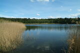 Schilf und See , Foto: Hotel Döllnse-Schorfheide, Lizenz: Hotel Döllnsee-Schorfheide