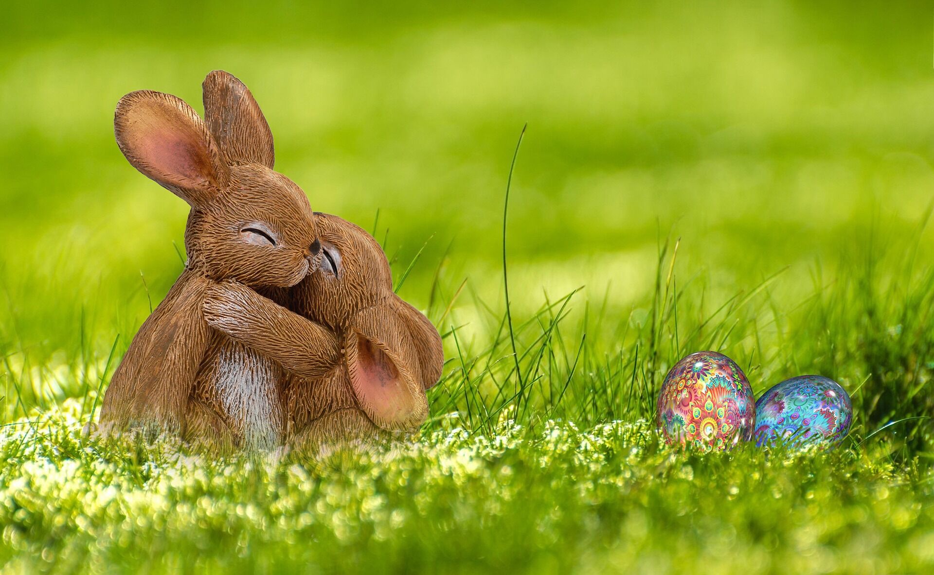 Foto: anncapictures, Lizenz: pixabay