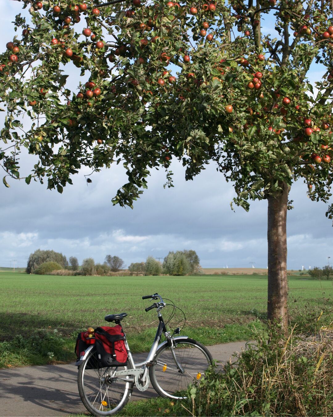 Radfahren Angermünde, Foto: Johanna Henschel, Lizenz: Tourismusverein Angermünde