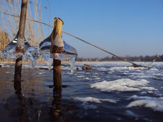 Zugefrorener See, Foto: Nico Brunkow, Lizenz: NaturSchutzFonds Brandenburg