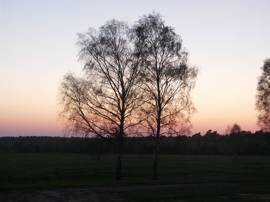 Wenn die Nacht hereinbricht ist die richtige Zeit zum Lauschen, Foto: Andreas Lauter, Lizenz: NaturSchutzFonds Brandenburg