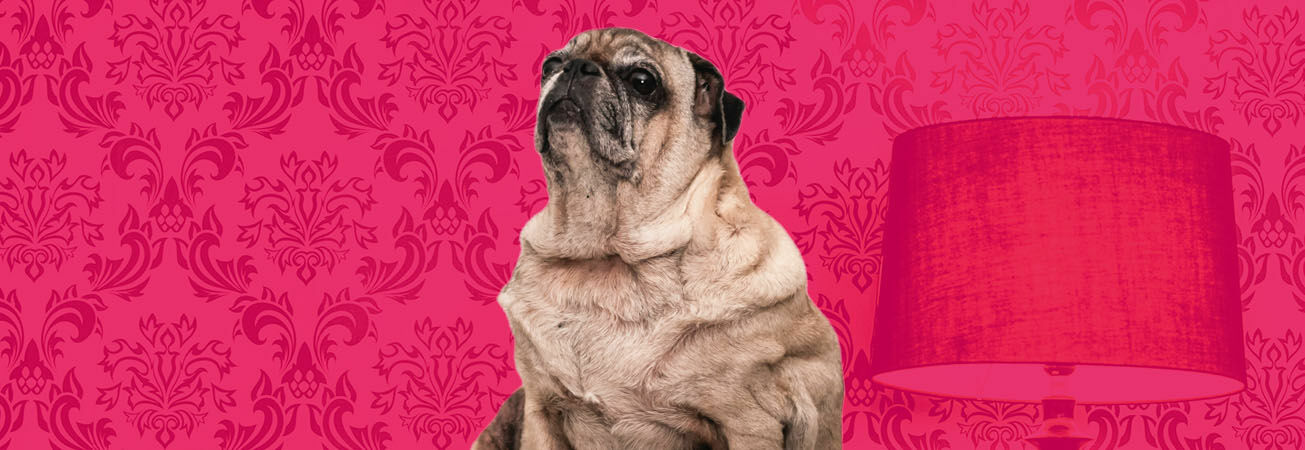 BT Jugendtheater: Wer hat denn morgen Geburtstag?, Foto: pexels.com