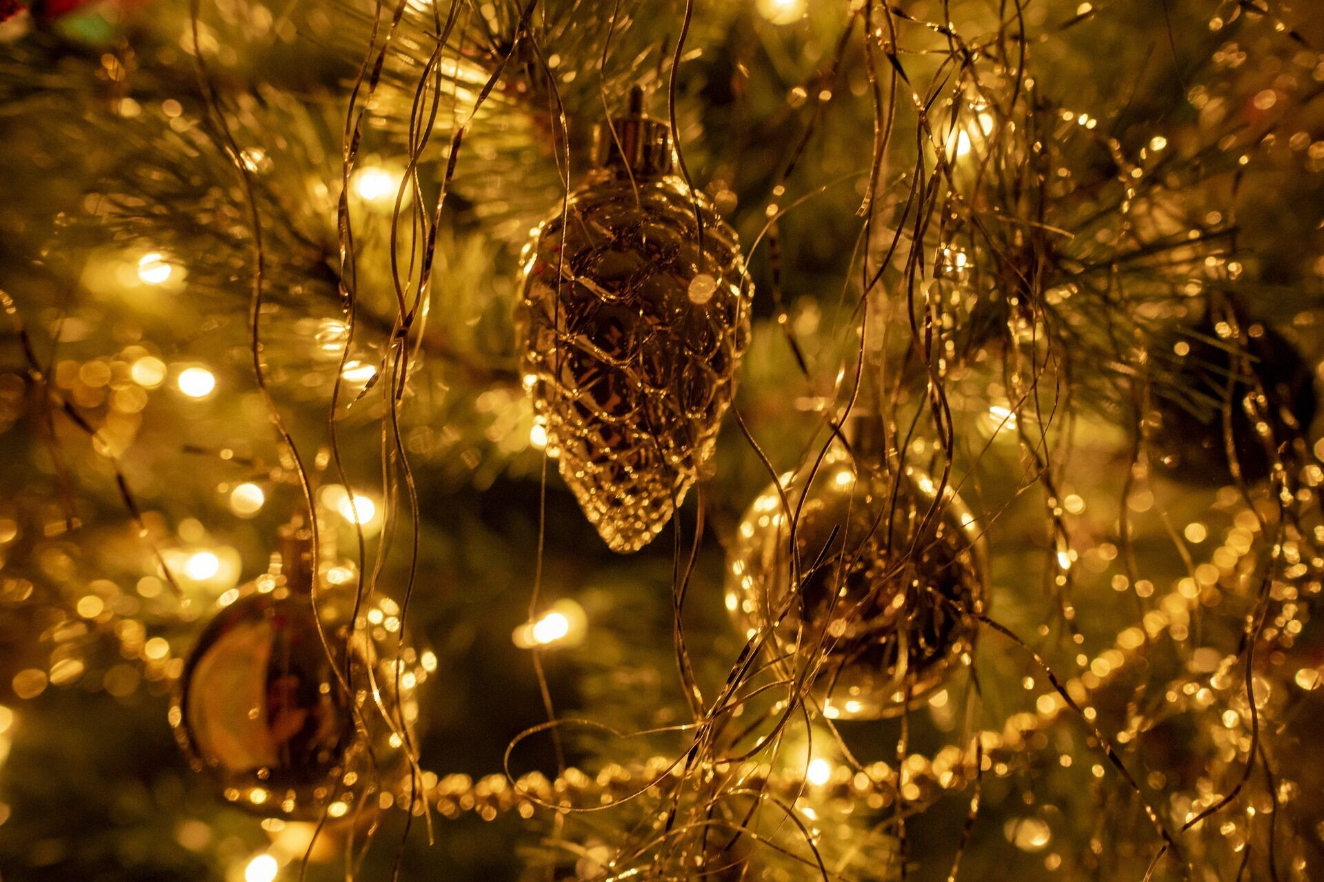 Foto: alexman89, Lizenz: pixabay