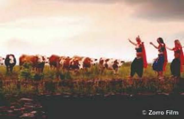 Die mit dem Bauch tanzen, Foto: Zorro Film, Lizenz: Zorro Film