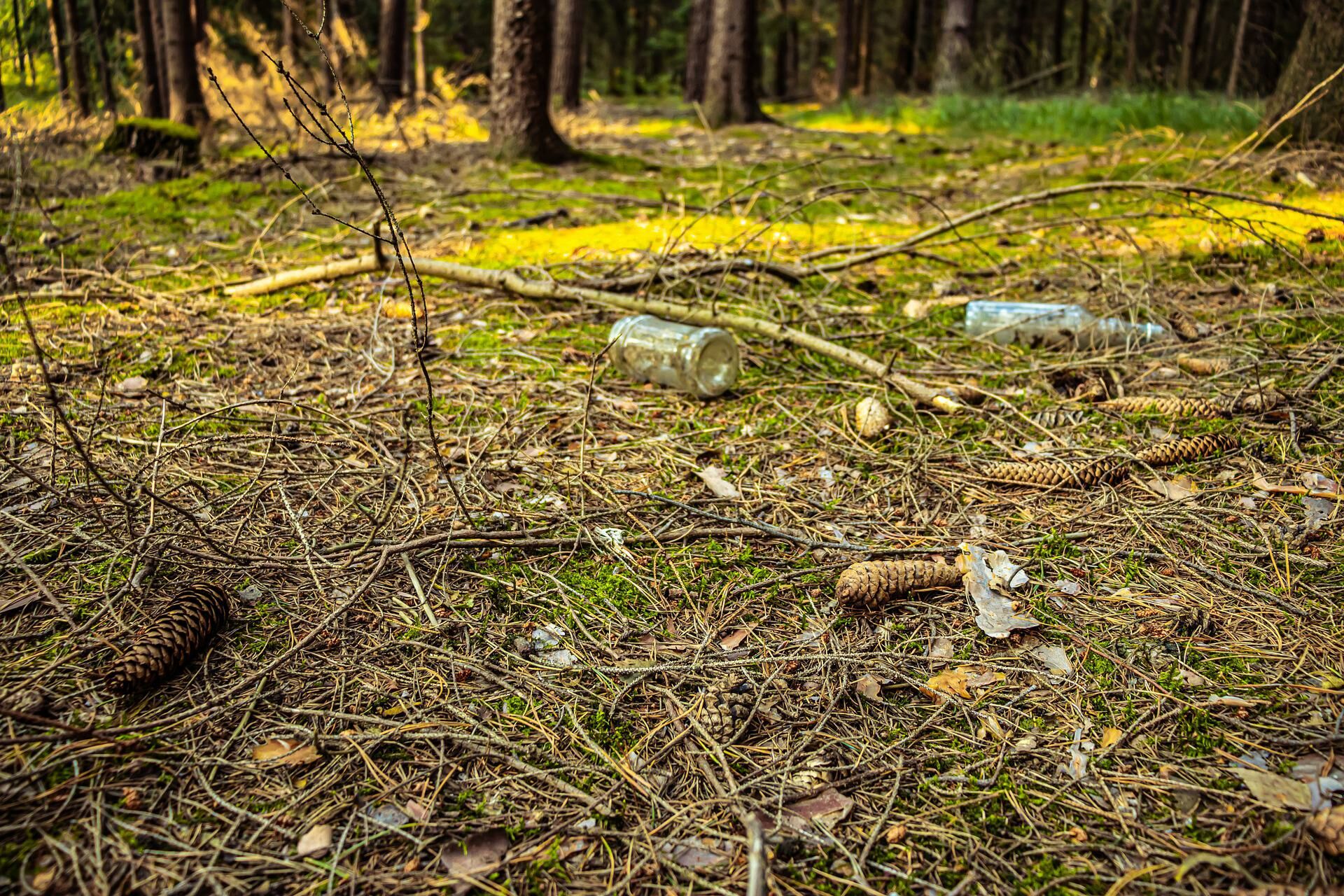 Müll im Wald, Foto: Kamil Miłkowski , Lizenz: pixabay