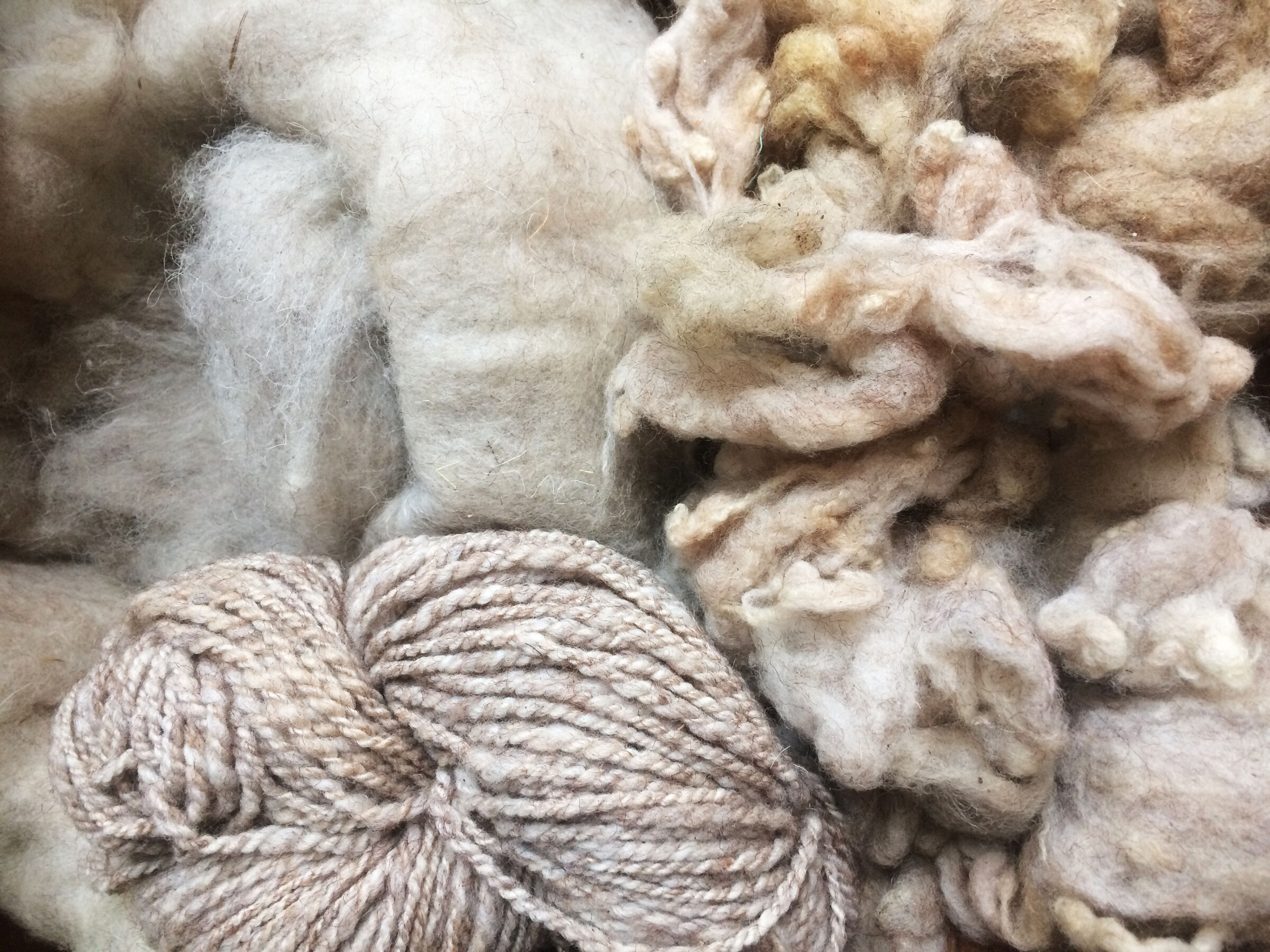 Wolle vom Coburger Fuchsschaf, Foto: Durch Deiner Hände Arbeit, Susan Krieger