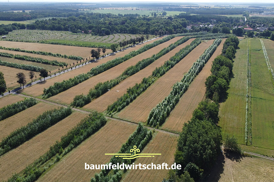 Agroforst, Foto: Dr. Philipp Gerhardt, Lizenz: Dr. Philipp Gerhardt