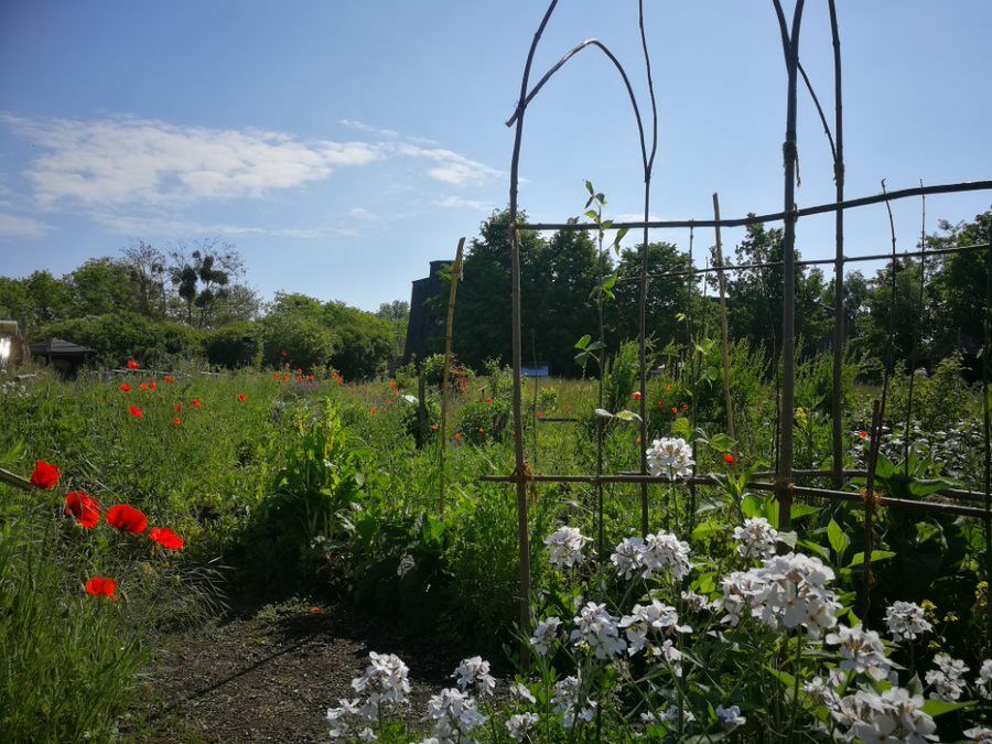 Garten der Blumberger Mühle, Foto: NABU, Lizenz: NABU