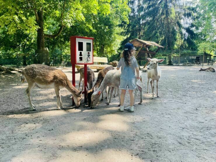 Tierpark Angermünde, Foto: M. Kienitz, Lizenz: Tourismusverein Angermünde e.V.