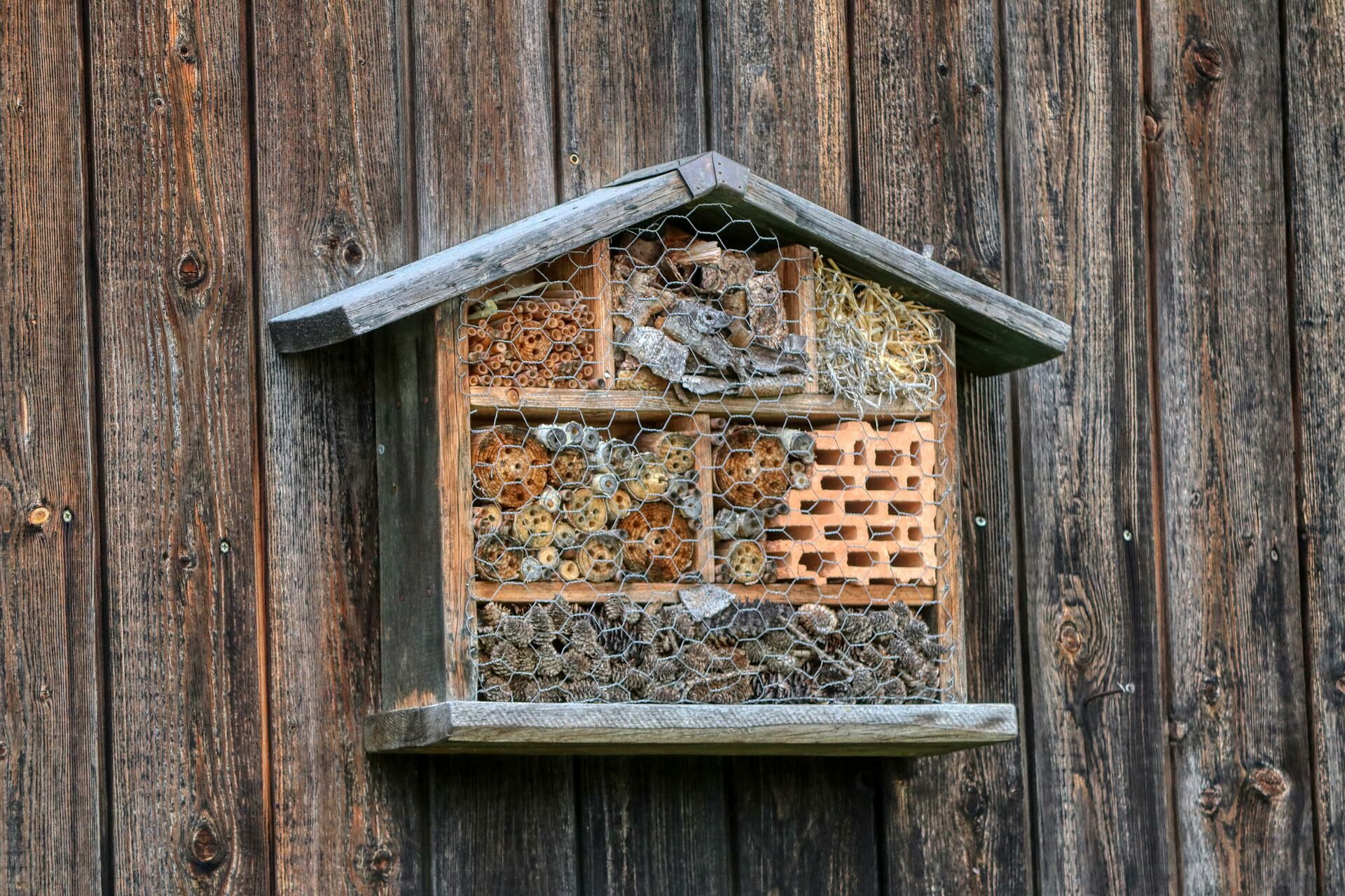 Insektenhotel, Foto: Alexander Fox | PlaNet Fox, Lizenz: pixabay