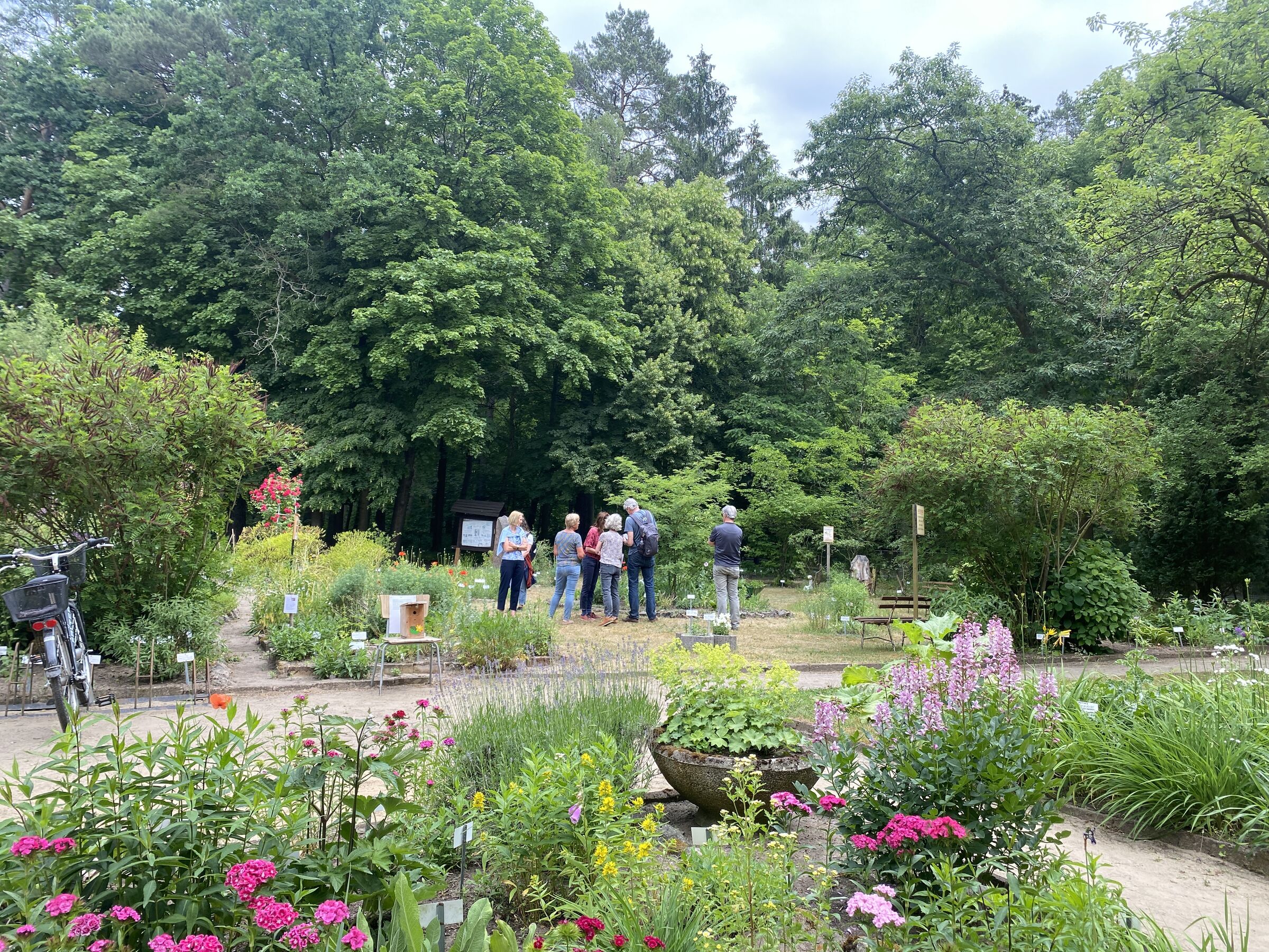 Zu Besuch im Lehmann-Garten, Foto: Alena Lampe