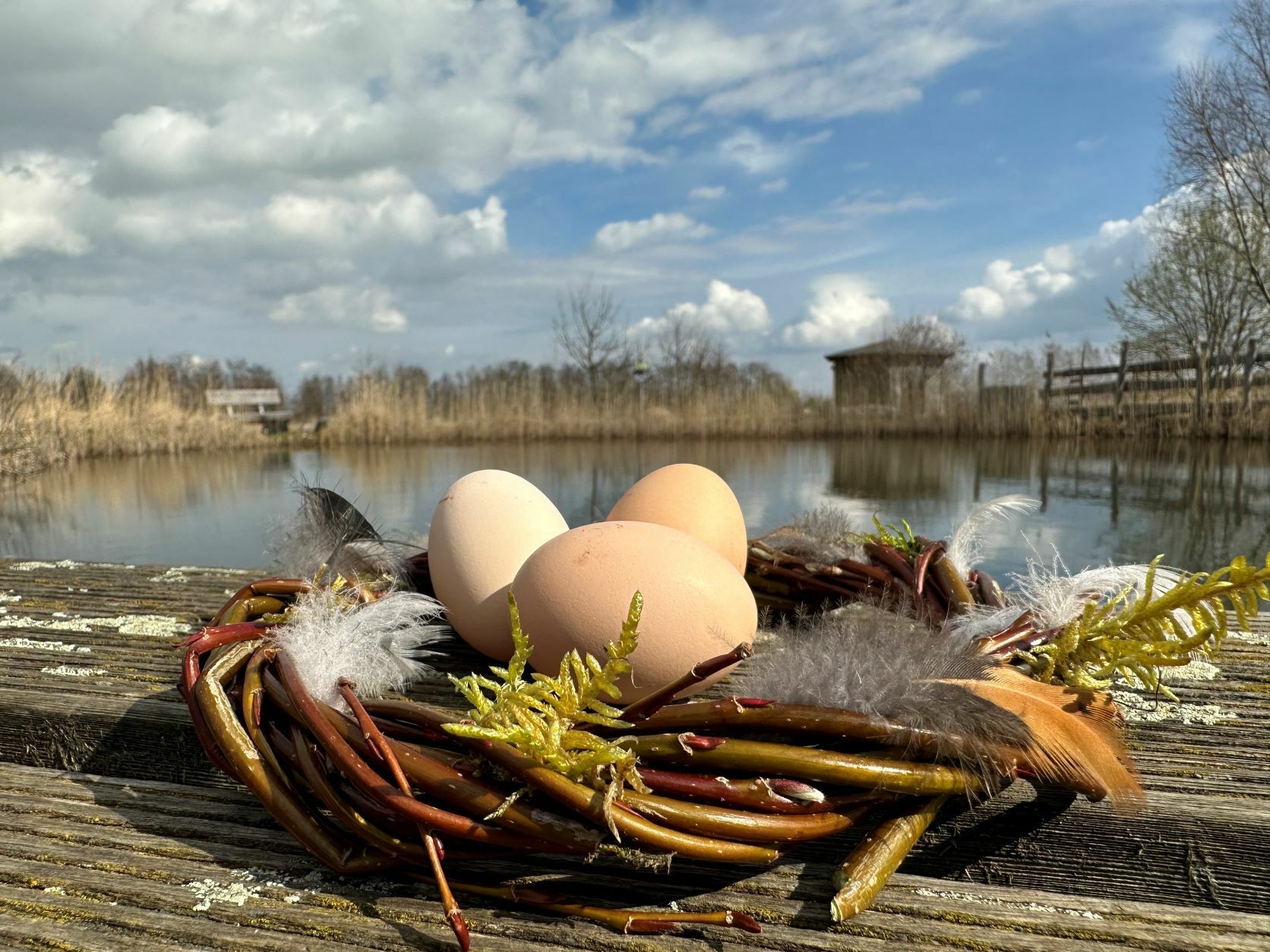 Ostern in Wanninchen, Foto: Katja Benke, Lizenz: Sielmanns Naturlandschaft Wanninchen