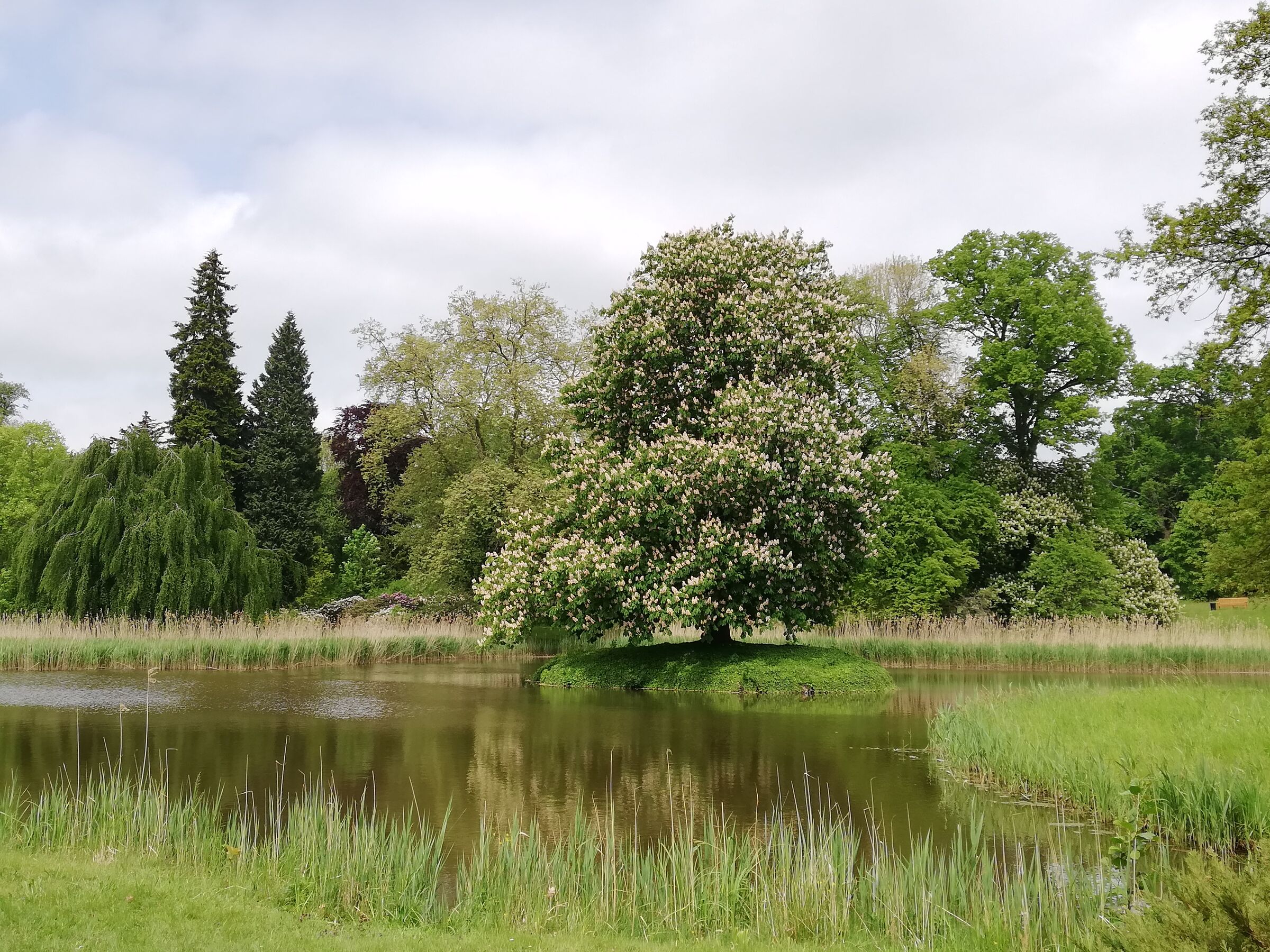 Schlosspark Wiesenburg, Foto: (c) Andrea Jentsch, Lizenz: (c) Andrea Jentsch